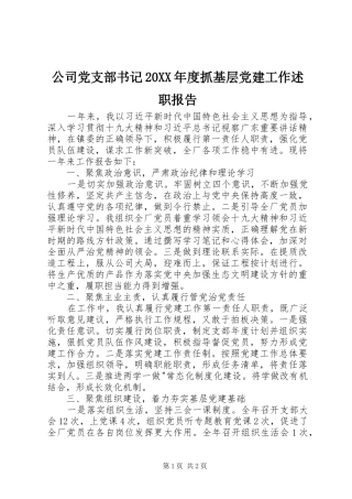 公司党支部书记年度抓基层党建工作述职报告