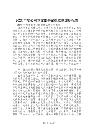 公司党支部书记抓党建述职报告
