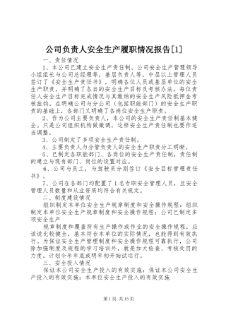 公司负责人安全生产履职情况报告