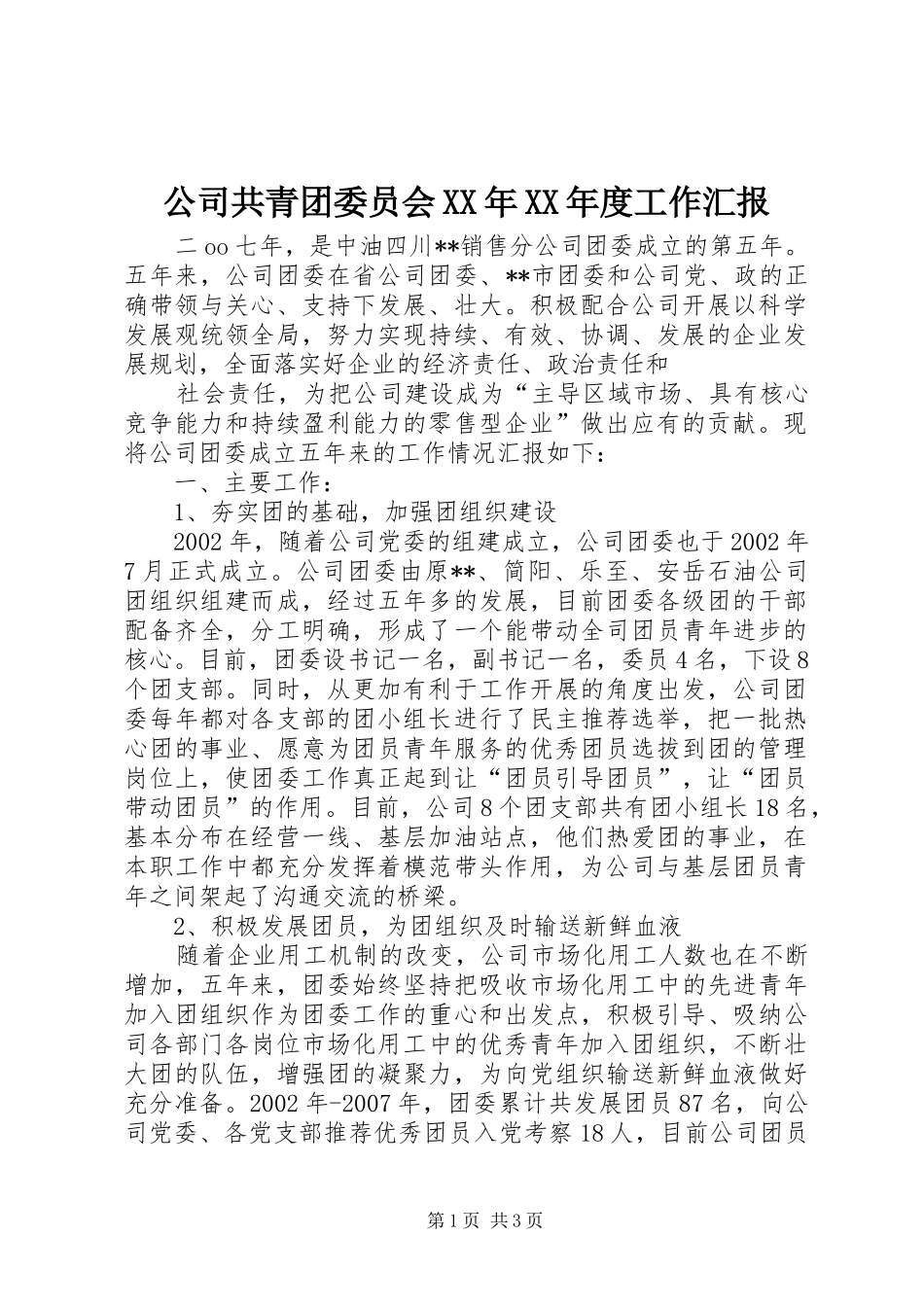 公司共青团委员会年度工作汇报_第1页