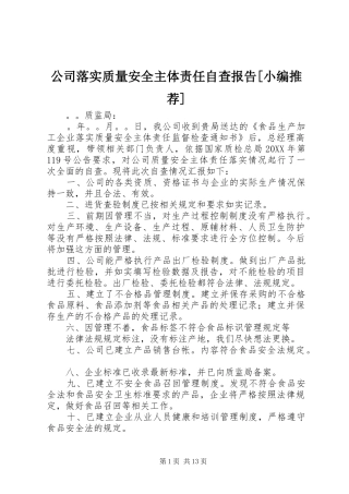 公司落实质量安全主体责任自查报告