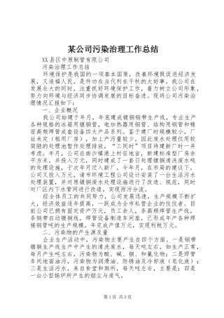 公司污染治理工作总结