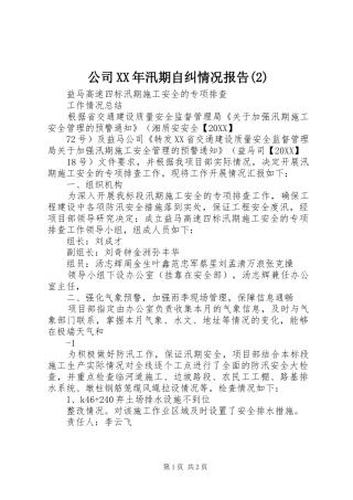 公司汛期自纠情况报告