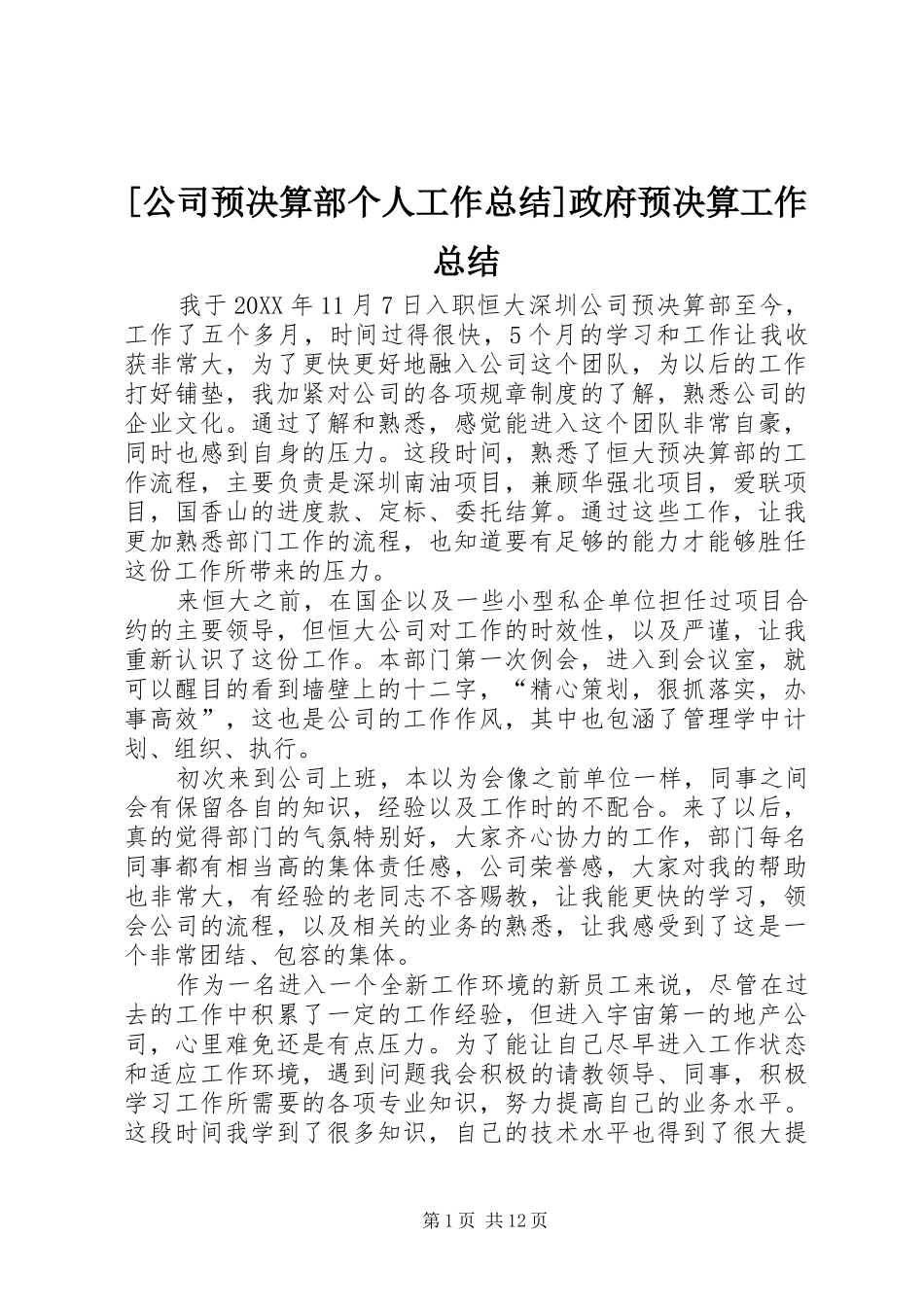 公司预决算部个人工作总结政府预决算工作总结_第1页