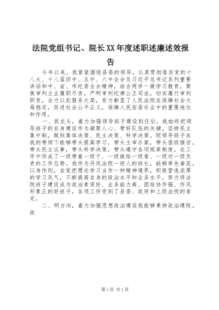 法院党组书记院长年度述职述廉述效报告