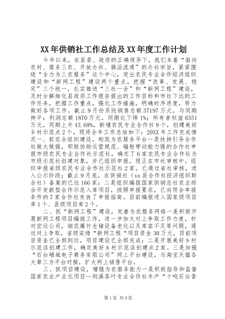 供销社工作总结及年度工作计划