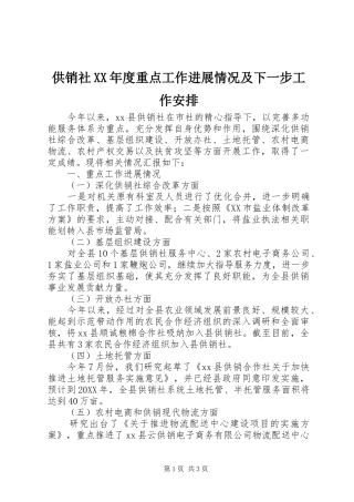 供销社年度重点工作进展情况及下一步工作安排