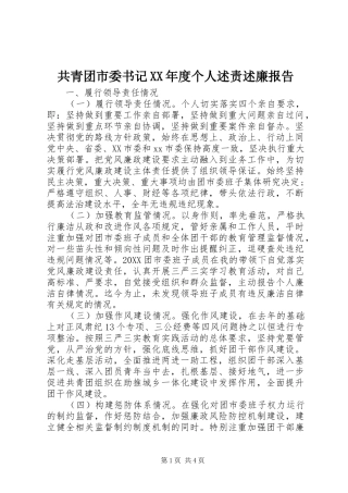 共青团市委书记年度个人述责述廉报告