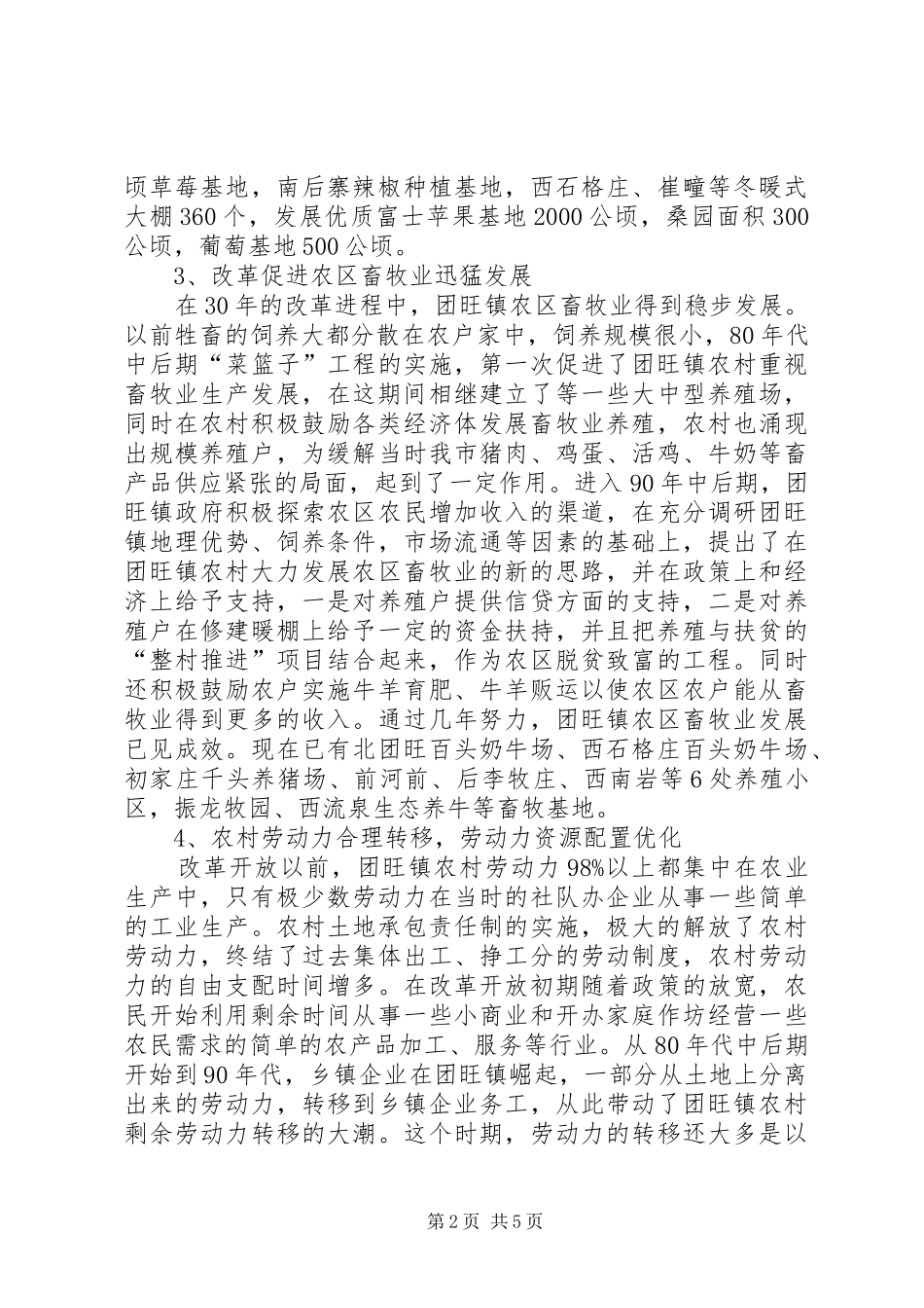 改革开放乡镇经济大发展_第2页