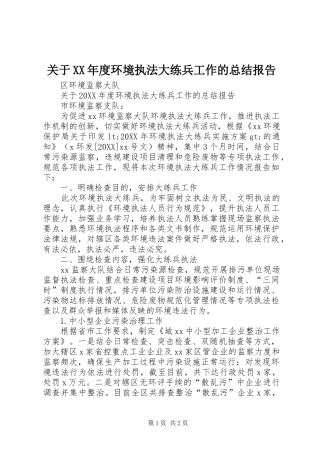 关于年度环境执法大练兵工作的总结报告