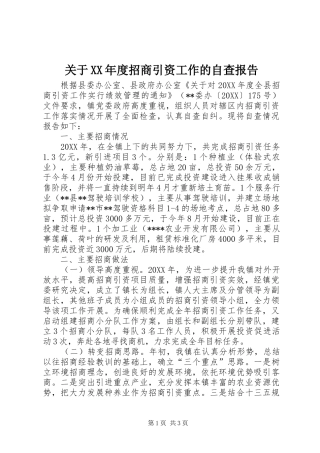 关于年度招商引资工作的自查报告