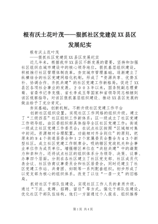 根有沃土花叶茂狠抓社区党建促县区发展纪实