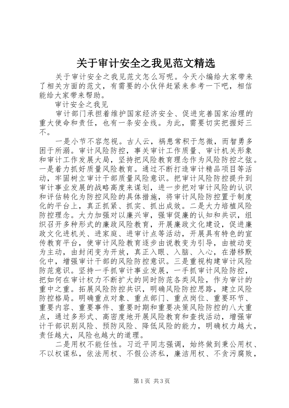 关于审计安全之我见范文_第1页