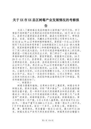 关于市县区树莓产业发展情况的考察报告