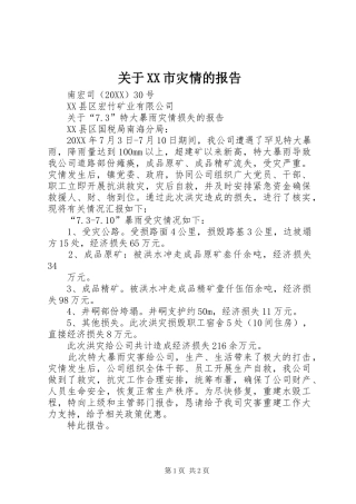 关于市灾情的报告
