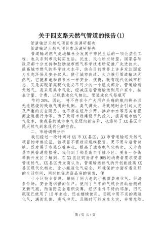 关于四支路天然气管道的报告