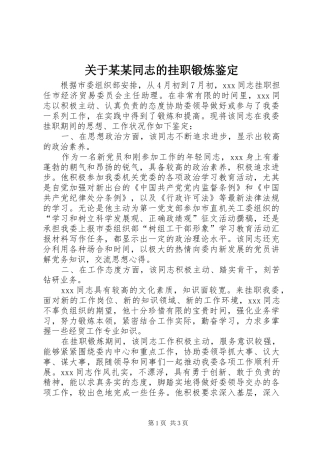 关于同志的挂职锻炼鉴定