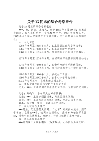 关于同志的综合考察报告