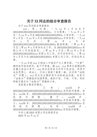 关于同志的综合审查报告