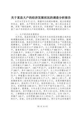 关于县大户的经济发展状况的调查分析报告
