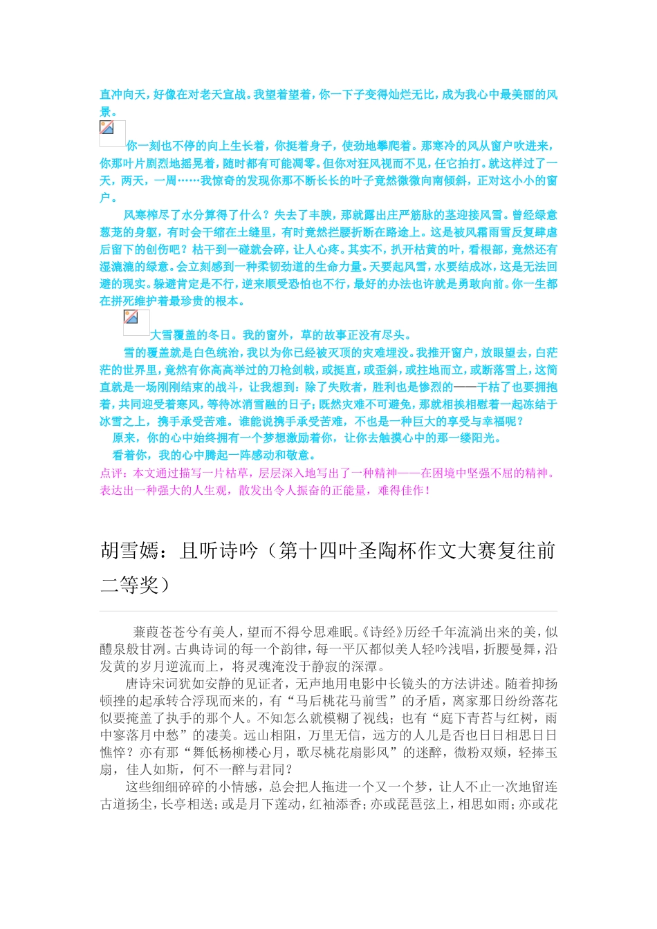 优秀作文集锦_第2页