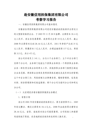 信用担保集团有限公司考察报告