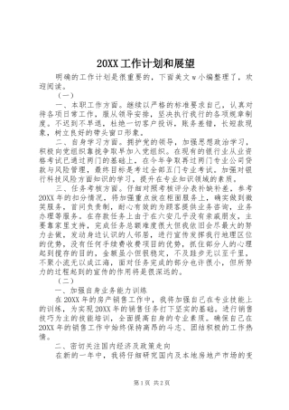 工作计划和展望