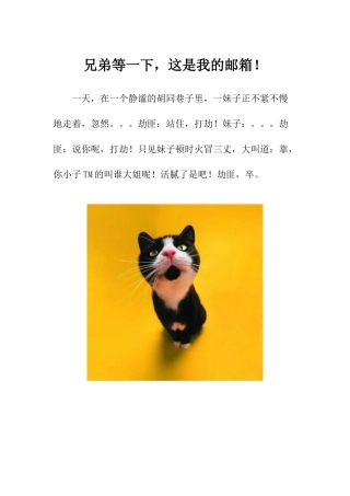 兄弟等一下-这是我的邮箱!