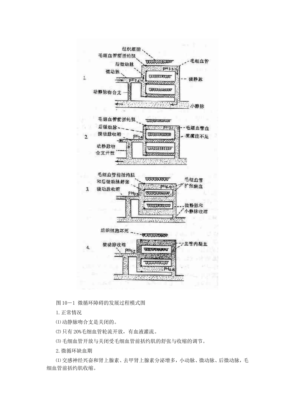 休克的病理生理变化_第2页