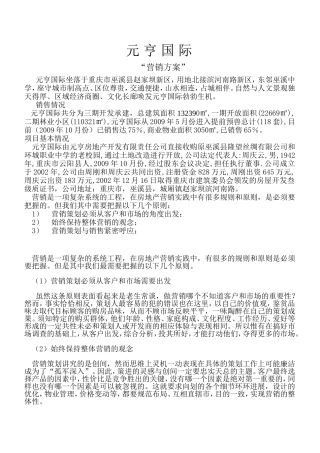元亨国际------营销方案