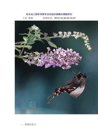 优化幼儿园体育教学活动组织策略的课题研究
