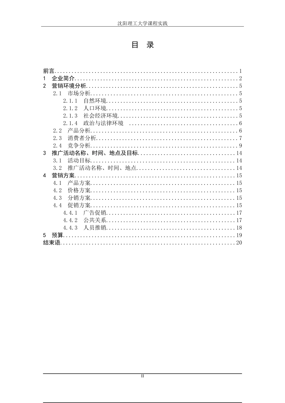 优乐美奶茶安阳市场营销策划123_第2页