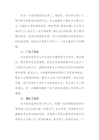 作为一名基层团组织负责人