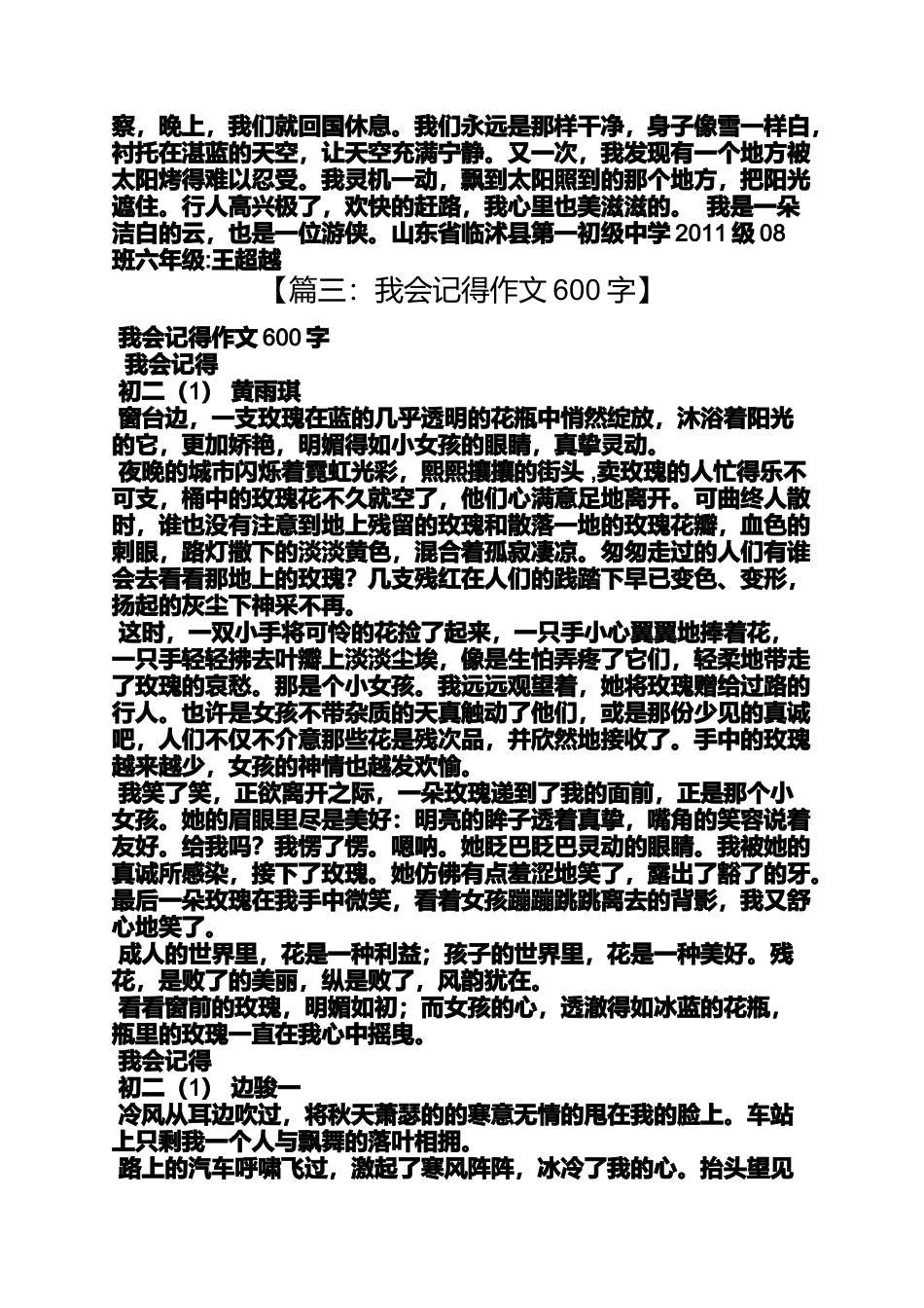 作文范文之我是迷作文600字_第2页