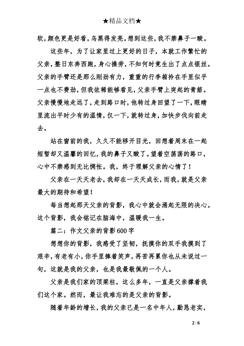 作文父亲的背影600字_第2页