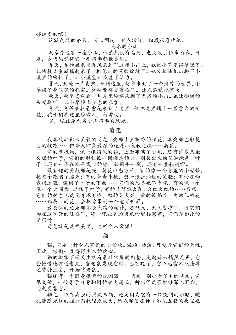 作文日记精华_第2页