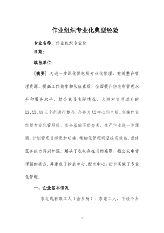 作业组织专业化典型经验材料
