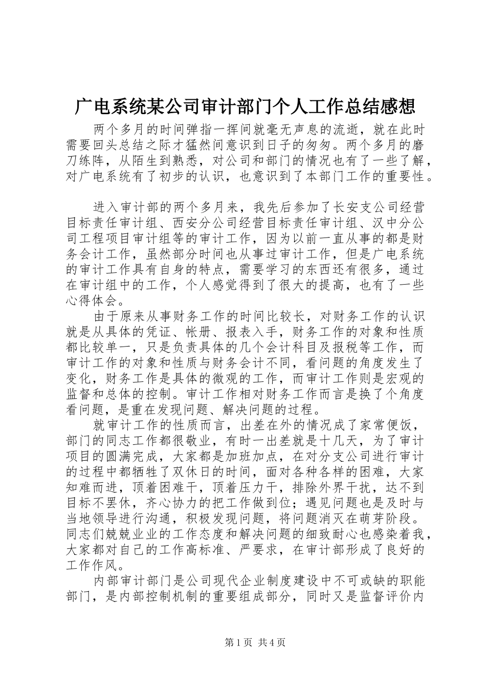 广电系统公司审计部门个人工作总结感想_第1页