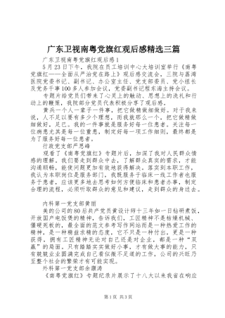 广东卫视南粤党旗红观后感三篇