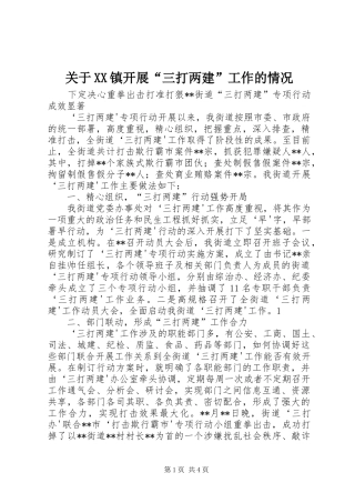 关于镇开展三打两建工作的情况
