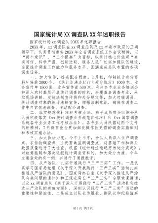 国家统计局调查队述职报告