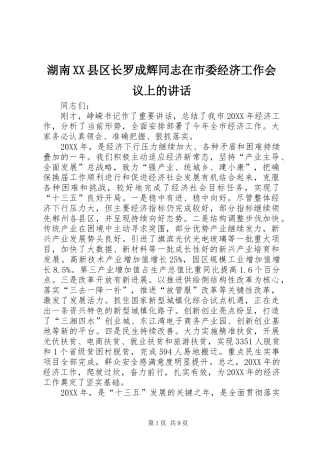 湖南县区长罗成辉同志在市委经济工作会议上的致辞