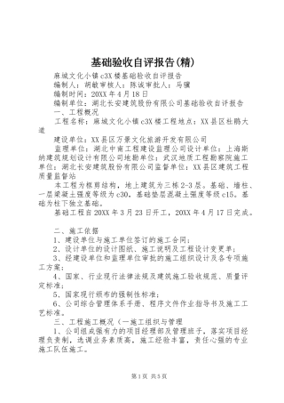 基础验收自评报告精