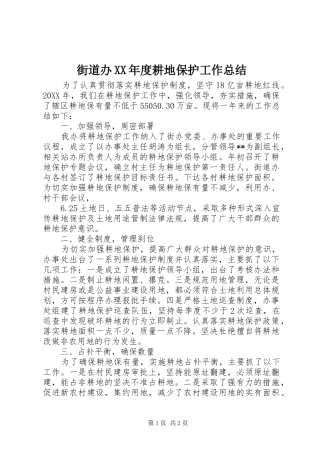 街道办年度耕地保护工作总结