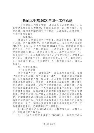 景讷卫生院卫生工作总结