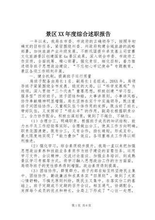 景区年度综合述职报告