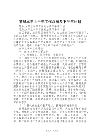 局本年上半年工作总结及下半年计划