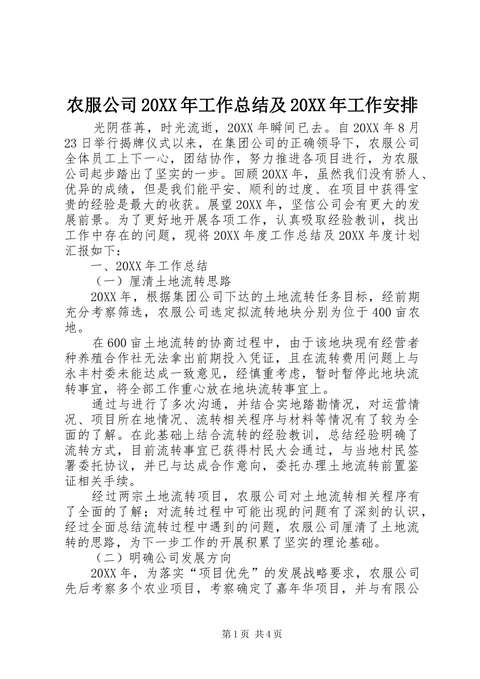农服公司工作总结及工作安排_第1页