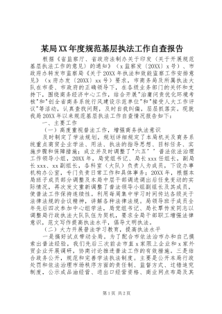 局年度规范基层执法工作自查报告