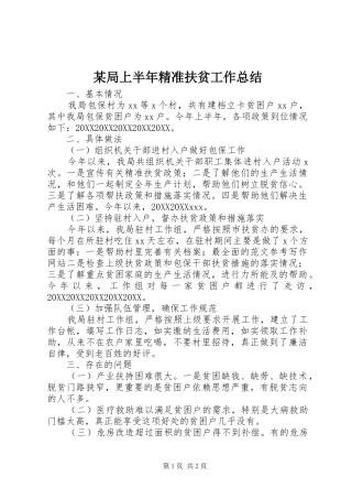 局上半年精准扶贫工作总结